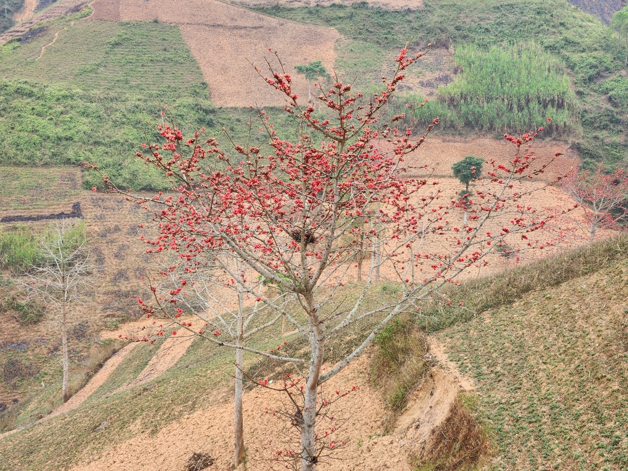 Mountain Bike Challenge Trail Bac Ha Sapa 7 Days